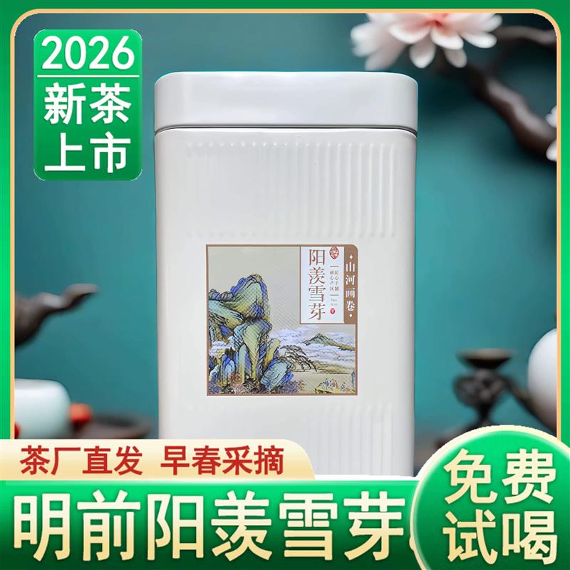 2026年新茶阳羡雪芽宜兴早春明前绿茶特一级散装罐装礼盒装100g包