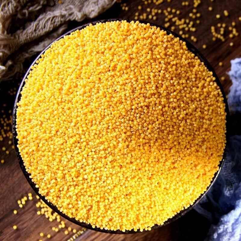 河南特产黄小米粥小黄米新小米农家食用糯新米五谷杂粮5斤包邮