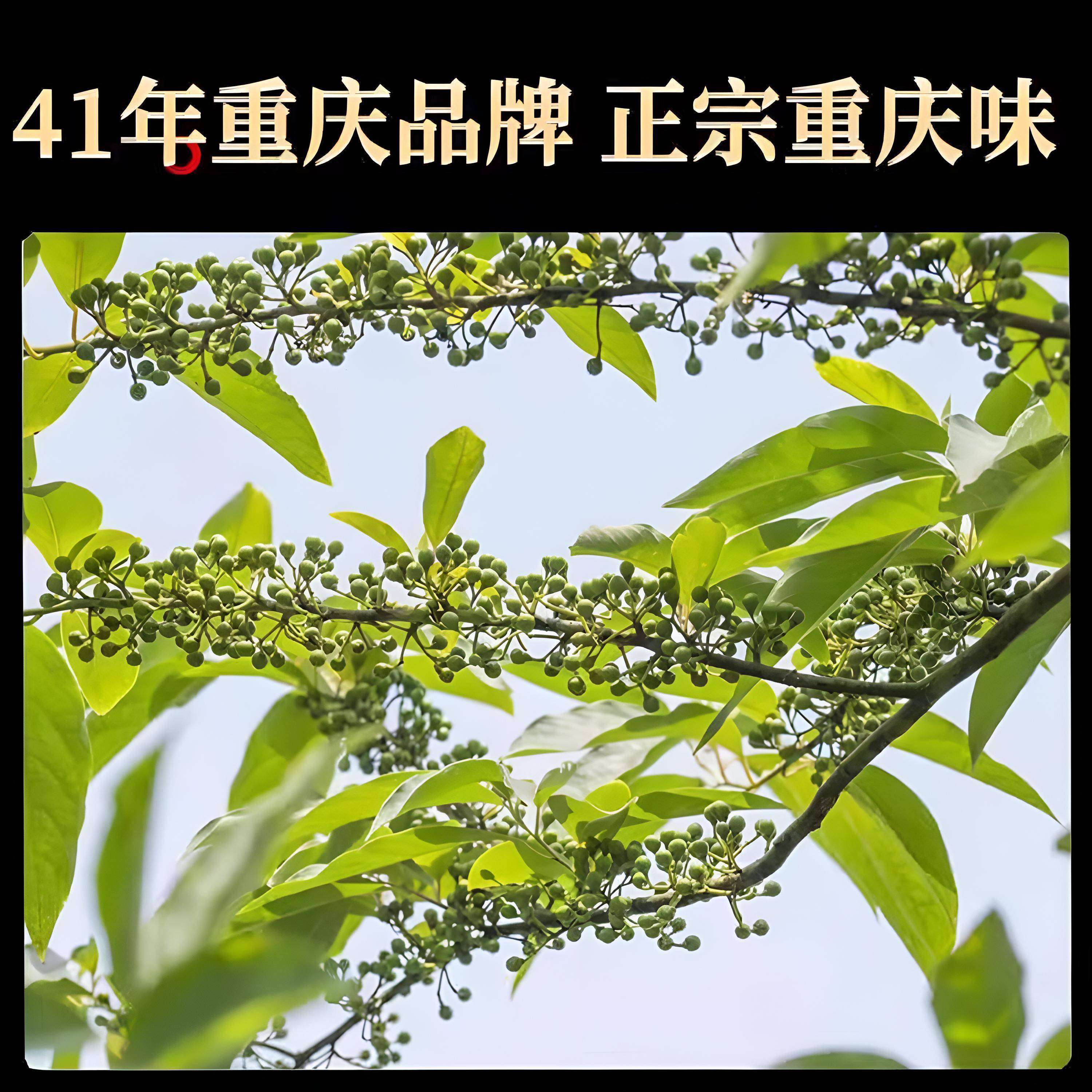 正宗山胡椒油湖南特产新鲜纯正木姜子油珊瑚椒油重庆山苍子油