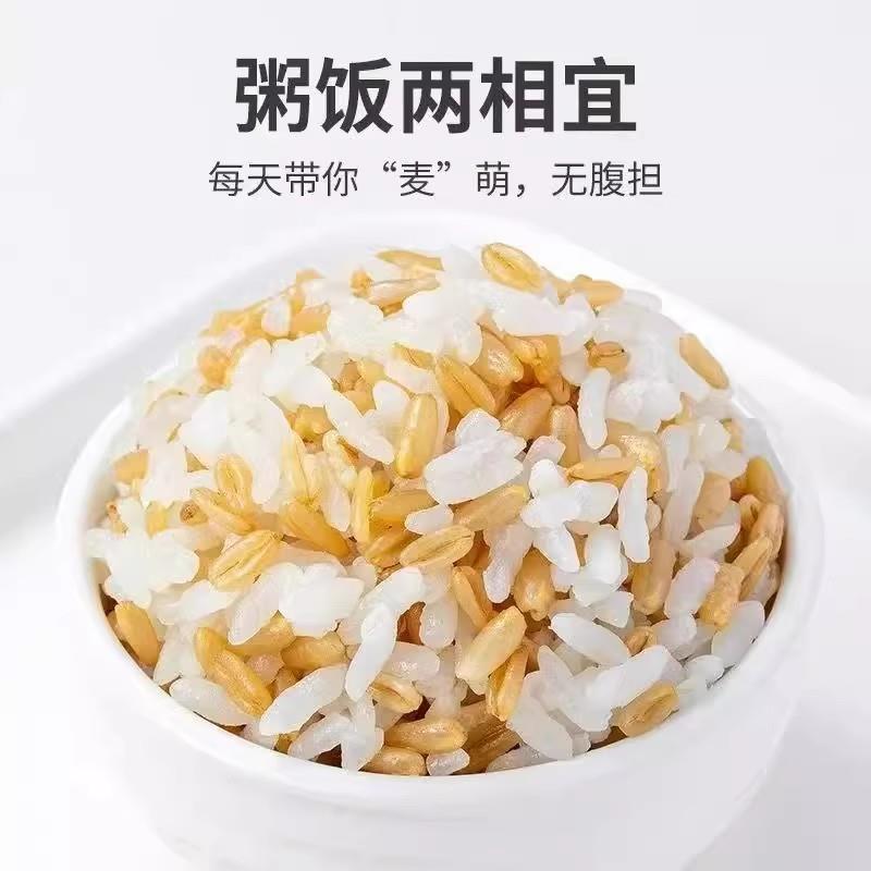 优质燕麦米五谷杂粮米代餐煮饭杂粮饭新米粗粮家用健康主食燕麦米