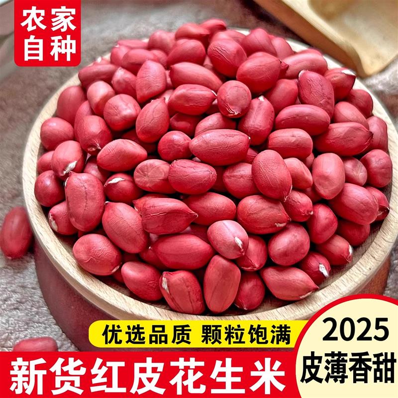 红皮花生米仁生的新鲜红衣