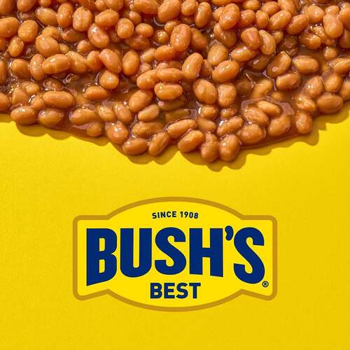 美国Bush's Homestyle Baked Beans布什家常口味焗豆罐头Original