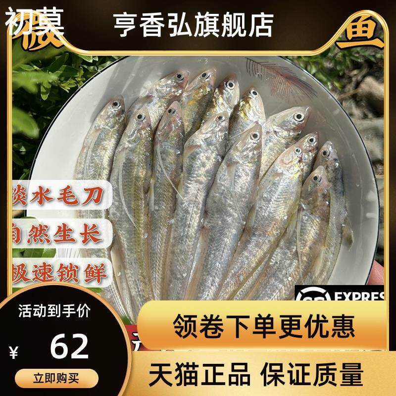 新鲜捕捞微山湖生态野养毛