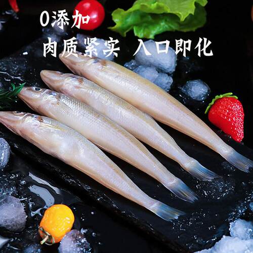 新货新鲜海捕沙丁鱼鲜鱼冷