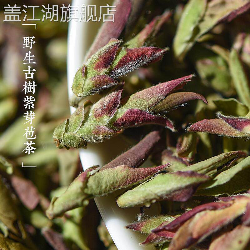 2023年新茶云南野生紫芽苞茶花香大雪山古树紫芽孢普洱茶生茶散茶