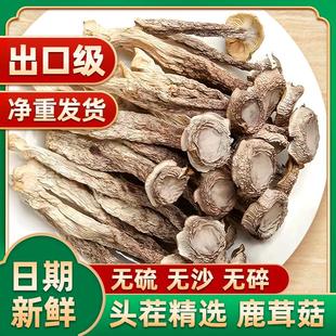 云南野生鹿茸菇干货特级鹿茸菌新鲜一级脆脆菇500g香菇正品旗舰店