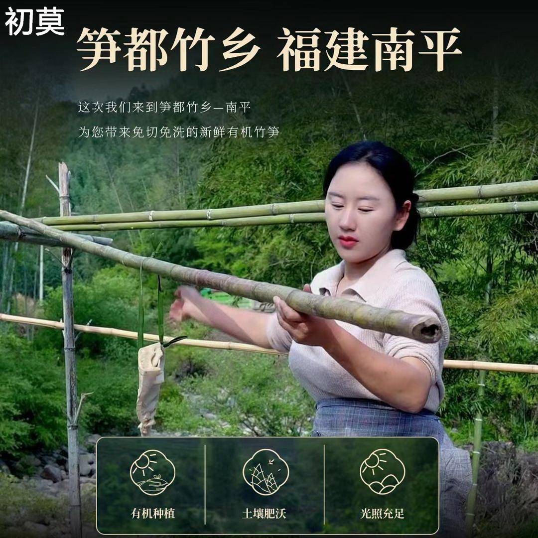 乡愁沈丹有机水煮笋干新鲜免切免泡脆笋农家清炒香脆下饭春笋竹笋
