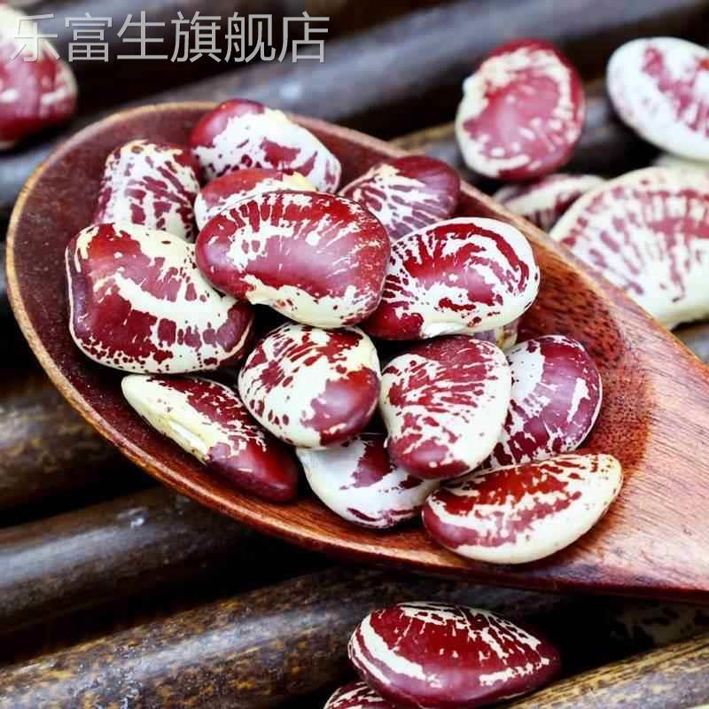 荷包豆5斤新货 云南大肾豆农家皇帝豆斑马豆状元豆五谷杂粮粗粮