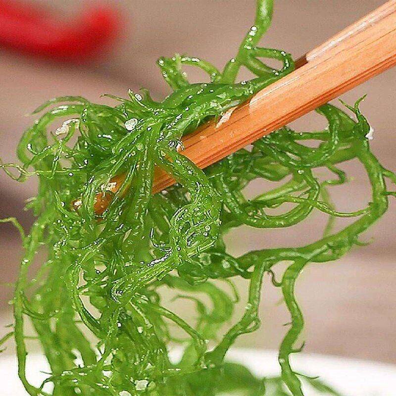 新品龙须菜新鲜海菜海藻火锅凉拌菜石花菜食材海草发菜食品包装