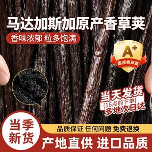 天然香草荚烘焙原产马达加斯加香草豆荚香草籽食用香精蛋糕原料