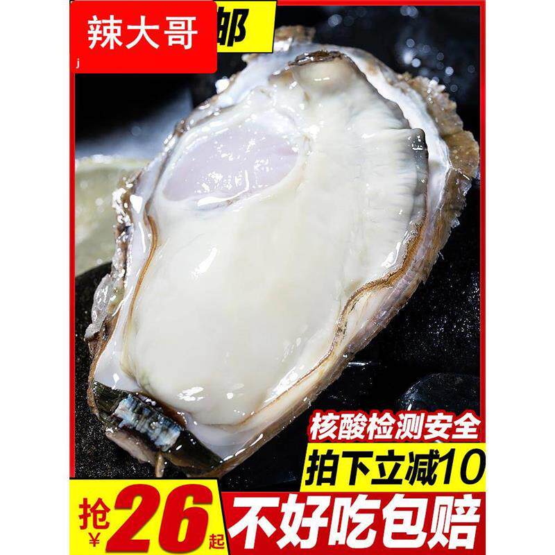乳山生蚝鲜活牡蛎海鲜水产