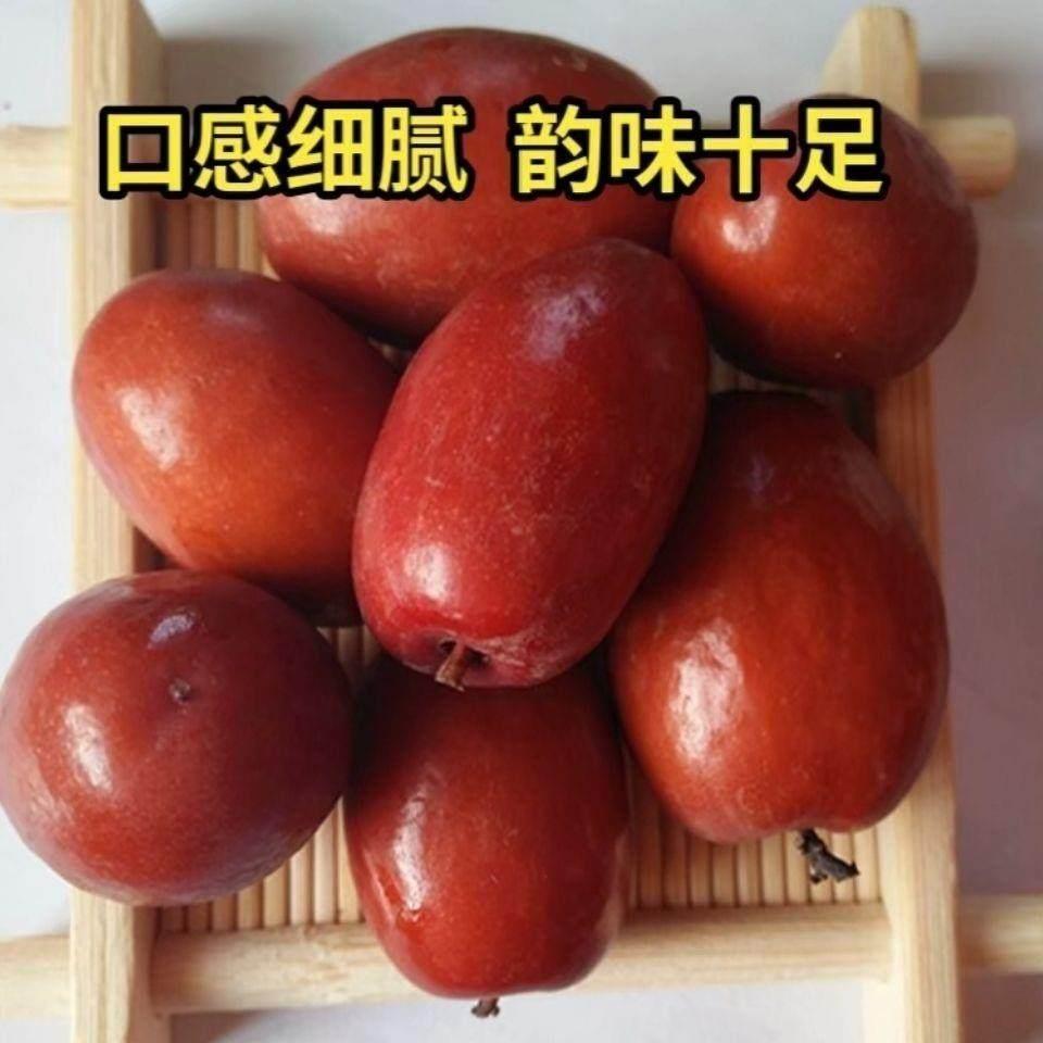 新鲜醉枣酒枣纯粮食酒酿制沧州特产特色美食零添加罐装袋装1斤5斤