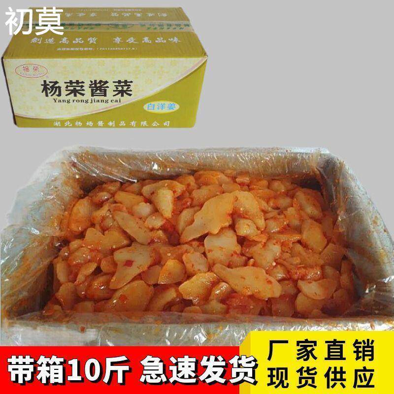 杨荣白洋姜咸菜洋生姜鬼子