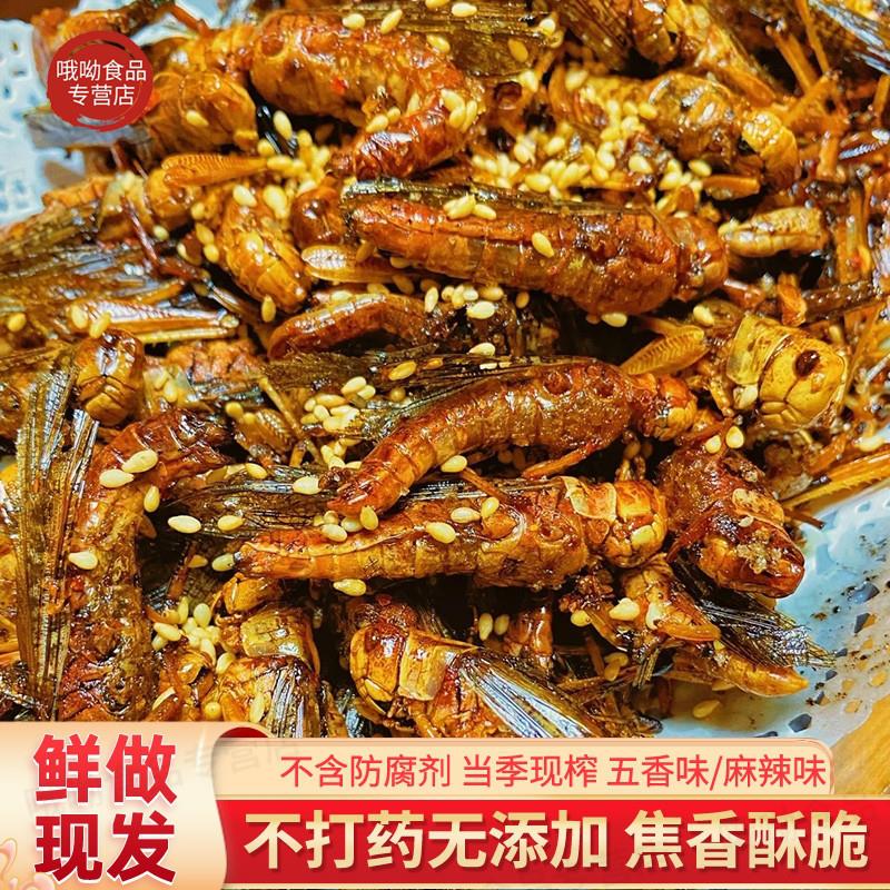 油炸蚂蚱新鲜大蚱蜢山东烧