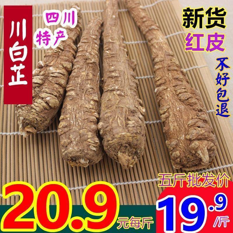 新货川白芷个根红皮500克250g包邮手选四川整大白止条粉纸香调料
