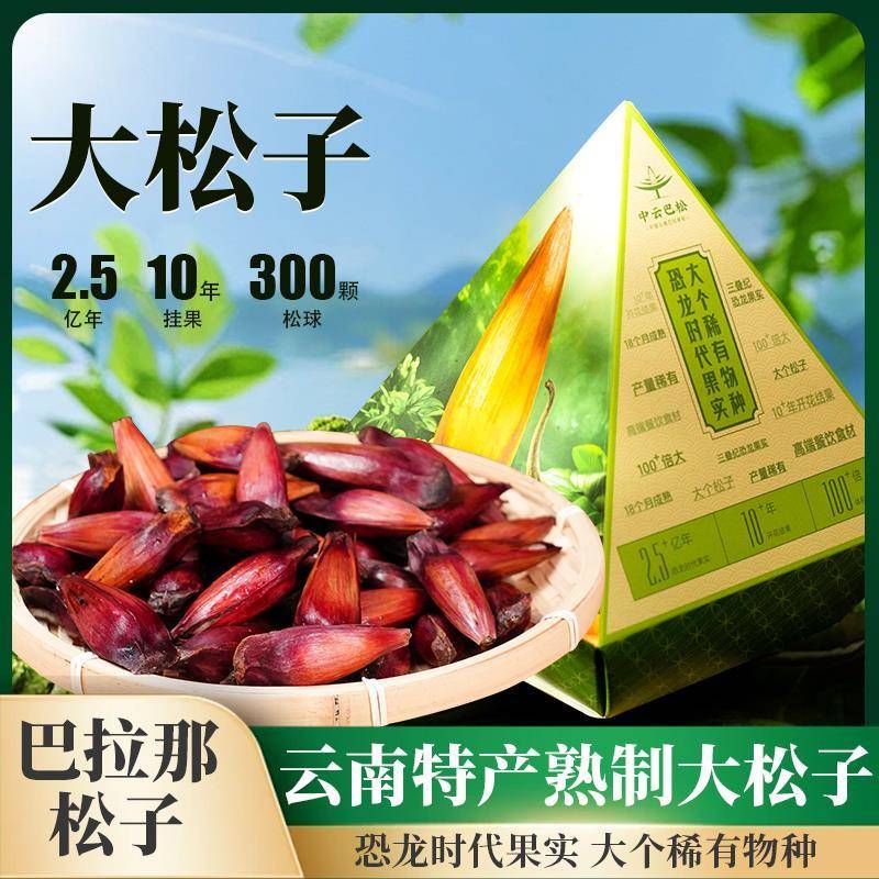 巴拉那松子云南特产原味熟食大颗粒拇指大松子坚果礼盒装送礼收藏