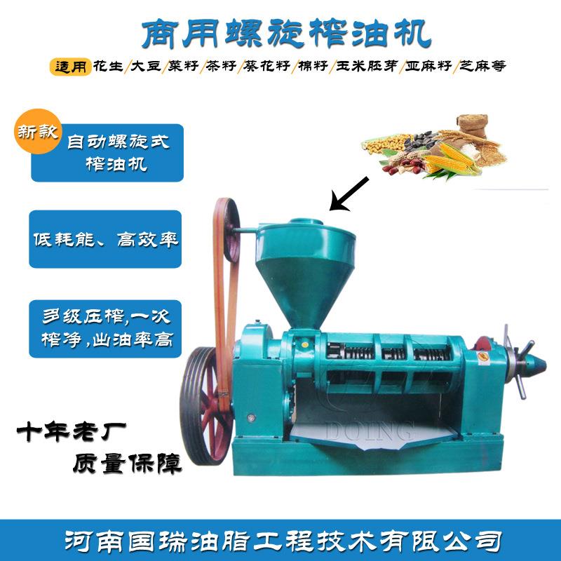 商用小型全自动榨油机国瑞供应220V食用大豆油榨油机器设备