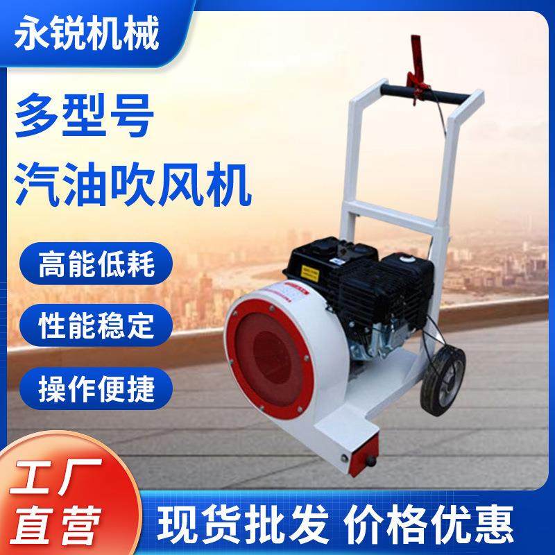 手推式路面清扫吹风机扫雪机汽油沥青马路树叶清理机除尘吹雪机,标准件/零部件/工业耗材,其他液压元件,淘宝优惠券,粉丝福利购,淘宝优惠卷