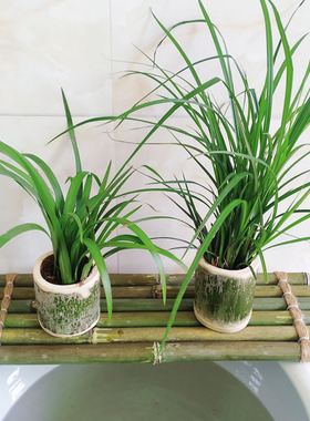 鱼缸流水板 竹排竹垫配件竹子多肉装饰diy摆件漂浮竹排陶瓷流水器