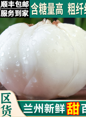 兰州百合新鲜甜百合2025正宗食用百合甘肃特产特级非干货白合包邮