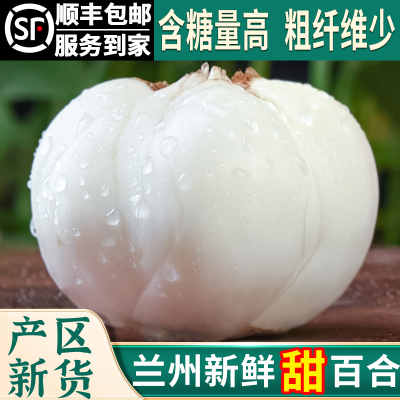 兰州百合新鲜甜百合500g食用百合甘肃特产特级非干货包邮生白合