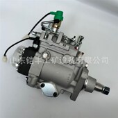 燃油泵62027 0960005380 5380喷油泵620273110 3110 096000