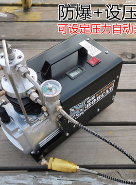 山猫电动高压打气机30mpa 高压充气泵40mpaP 小型单缸水冷打气机