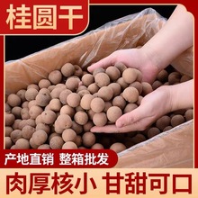 【净重发货】新货大果桂圆干带壳肉厚福建特产龙眼干整箱10斤批发