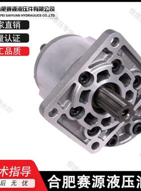 合肥赛源齿轮泵CBN-F520/F525/F532F/540/F550/F563/F580-BF 油泵