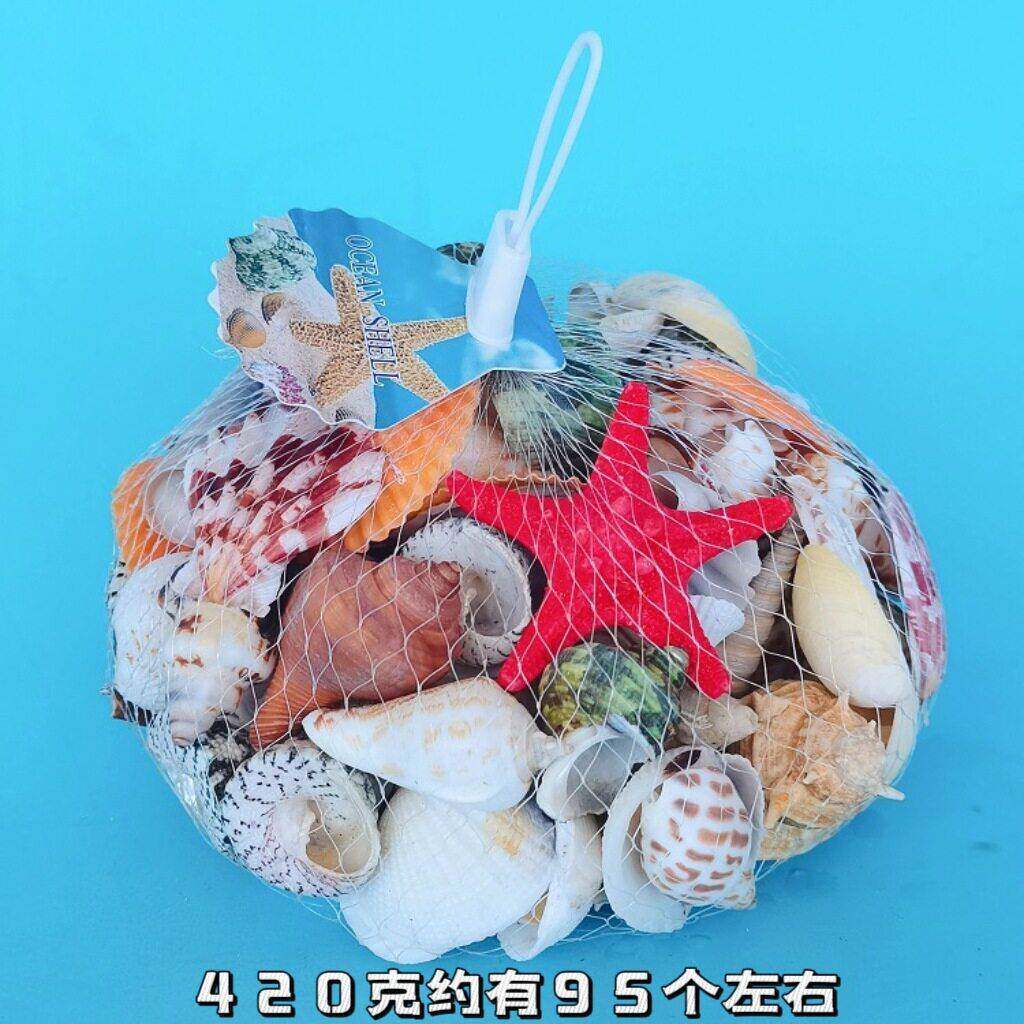天然贝壳海螺礼盒套餐仿真珊瑚鱼缸水族造景儿童玩具礼物创意礼品