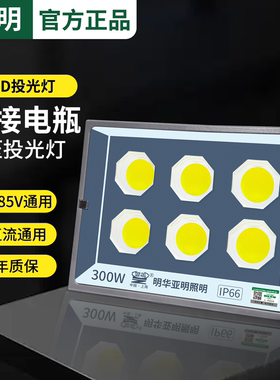 明华亚明LED低压投光灯100W户外防水摆地摊船用可接电瓶12V24V36V