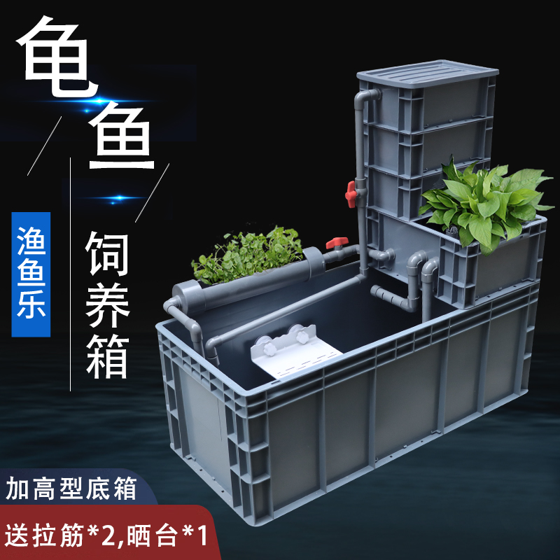 加高加厚周转箱养龟箱鱼缸龟缸过滤器乌龟饲养P缸沼泽免换水乌龟