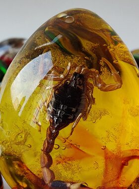 子琥珀虫珀标本带吊坠昆虫虫蝴蝶礼品挂件纯手工蝎子项链制作蜘蛛