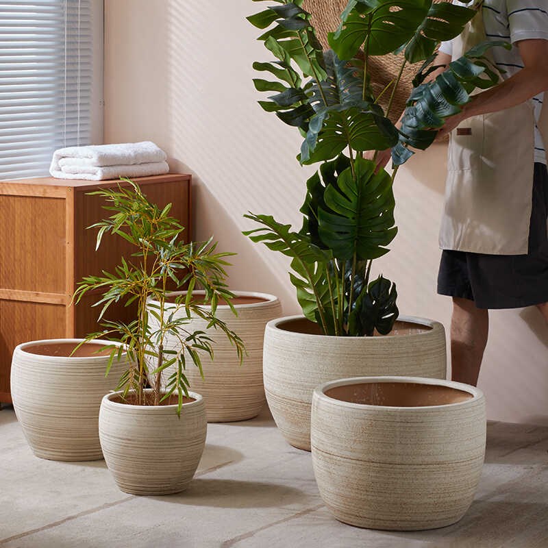 花盆特大号陶瓷组合盆软装创意摆件酒店个性L发财树40大口径35种