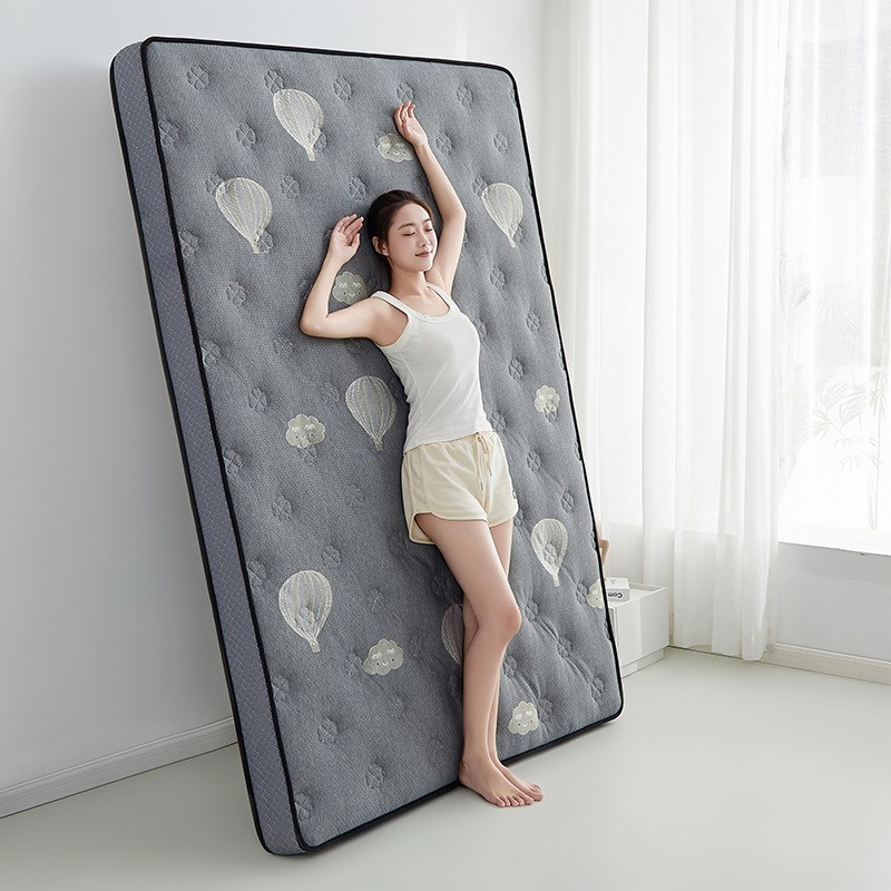 新款乳胶海绵刺绣款床垫家用宿舍酒店柔软记忆床上用品