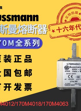 美国巴斯曼Bussmann低压快速熔断器170M4012/170M4018/170M4063