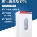 上海博迅生化培养箱SPX100B BSP150实验室恒湿霉菌培养箱 250 ZII