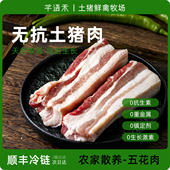 新鲜现杀正宗土猪五花肉农家散养土猪肉五花肉白猪无添加精选优质