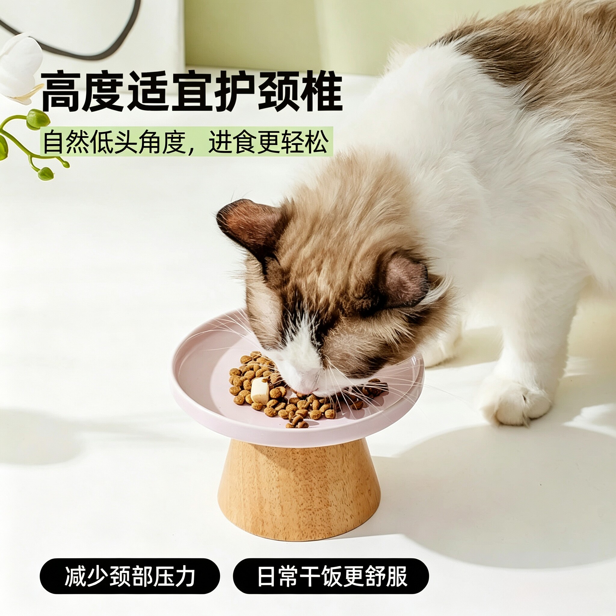 陶瓷高低脚防翻猫碗猫咪猫粮零食冻干罐头防颈椎宠物餐盘小狗食盆