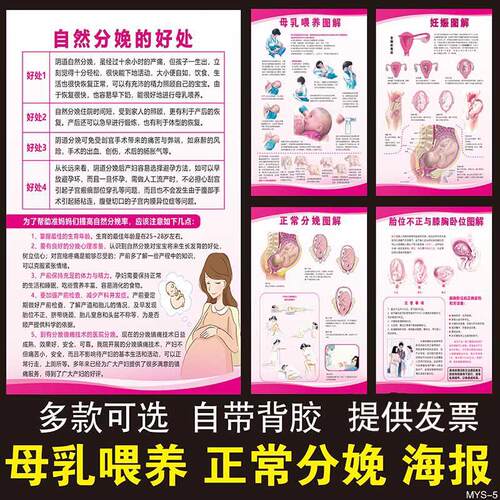 母乳喂养正常分娩妊娠图解挂图 妇幼保健院孕妇婴儿健康知识海报