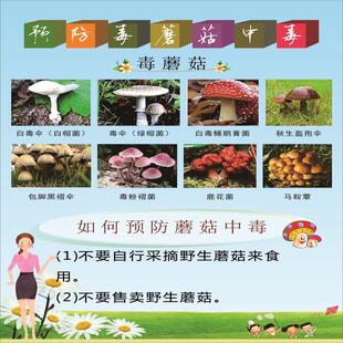 严防野生菌中毒禁止采食用毒蘑菇标示警示牌海报印制展板
