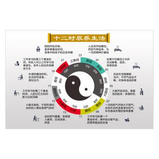 十二时辰养对照表法中医的子午流注图养生艾久馆贴画中医馆挂画