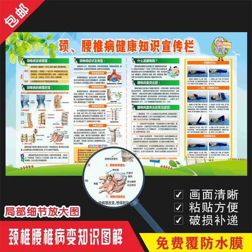 医院骨科理疗颈椎腰椎盘突出病图因介绍原因锻炼健康教育海报墙贴
