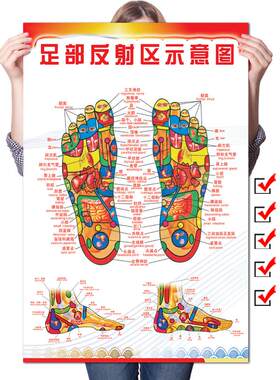 足部反射区挂图足底按摩穴位美容院用脚底挂图教学图