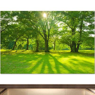 绿色森林风景画招财树林阳光画报树木儿童房间护眼图墙贴壁纸自粘