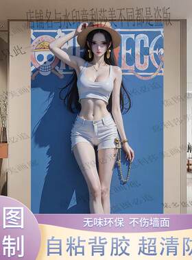 海贼王女帝汉库克墙贴海报电竞酒店装饰布置宿舍卧室直播间壁粘画