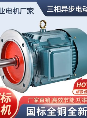 三相电机YEd3-160L-4 15KW YE3-180L-4 22KW全铜国标电机马达380v