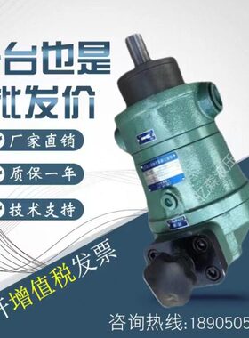 25400/40启东/SC0/600/32-/14/Y8轴向柱塞泵1025016///B10-/1316