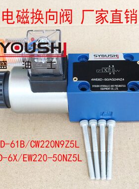 WZ5X阀磁电6WC/L向Z52206DL/-WE50-6D61换E现货4N9N4B,-220EW