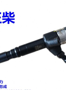 玉柴动力4105电喷发动机原厂喷油器1P4S00-1112100A客货车收割机